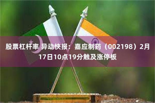 股票杠杆率 异动快报：嘉应制药（002198）2月17日10点19分触及涨停板