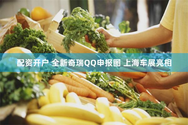 配资开户 全新奇瑞QQ申报图 上海车展亮相