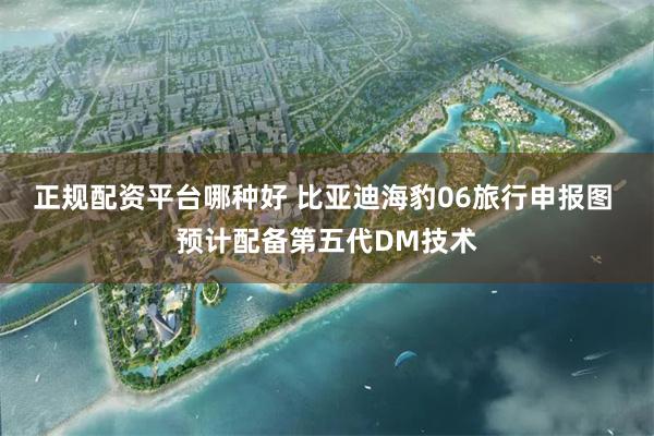 正规配资平台哪种好 比亚迪海豹06旅行申报图 预计配备第五代DM技术