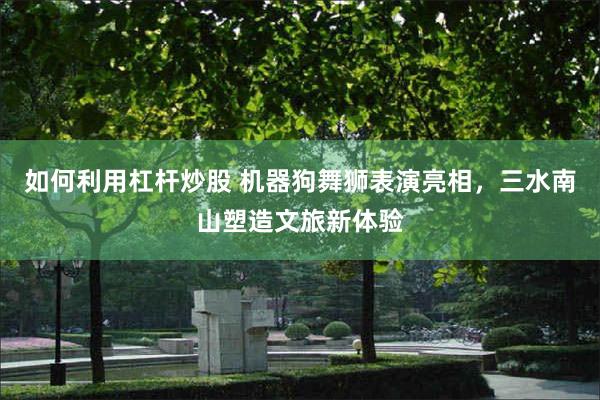 如何利用杠杆炒股 机器狗舞狮表演亮相，三水南山塑造文旅新体验