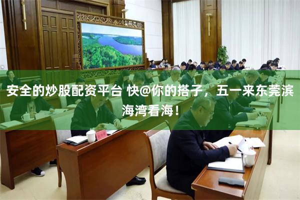 安全的炒股配资平台 快@你的搭子，五一来东莞滨海湾看海！