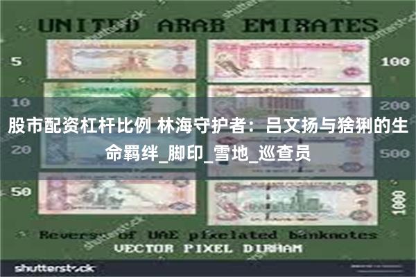 股市配资杠杆比例 林海守护者：吕文扬与猞猁的生命羁绊_脚印_雪地_巡查员