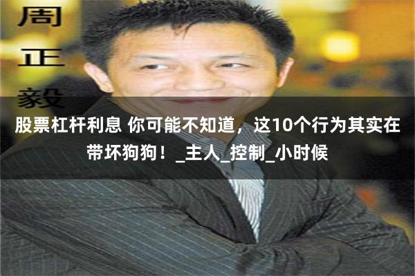 股票杠杆利息 你可能不知道，这10个行为其实在带坏狗狗！_主人_控制_小时候