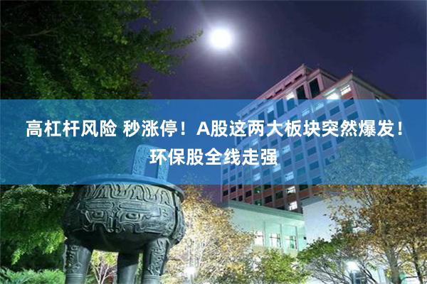 高杠杆风险 秒涨停！A股这两大板块突然爆发！环保股全线走强
